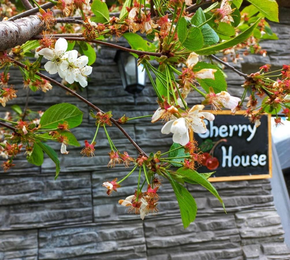 Cherry House Kazbegi Luaran gambar