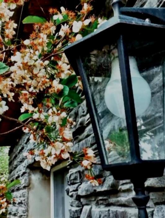 Cherry House Kazbegi Luaran gambar