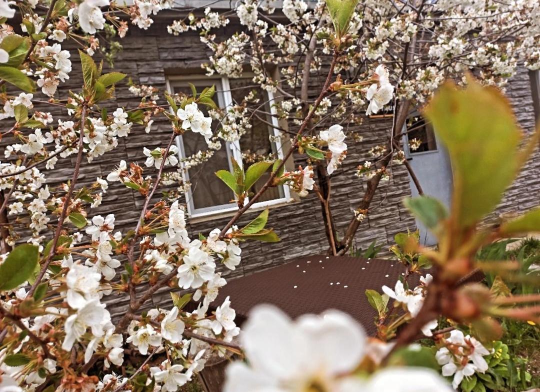 Cherry House Kazbegi Luaran gambar